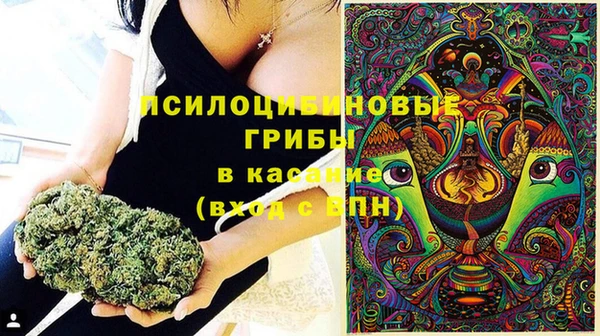 стаф Армянск