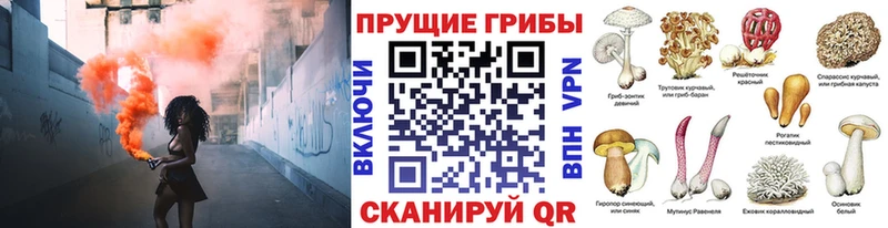 Галлюциногенные грибы мицелий  магазин    Павловская 
